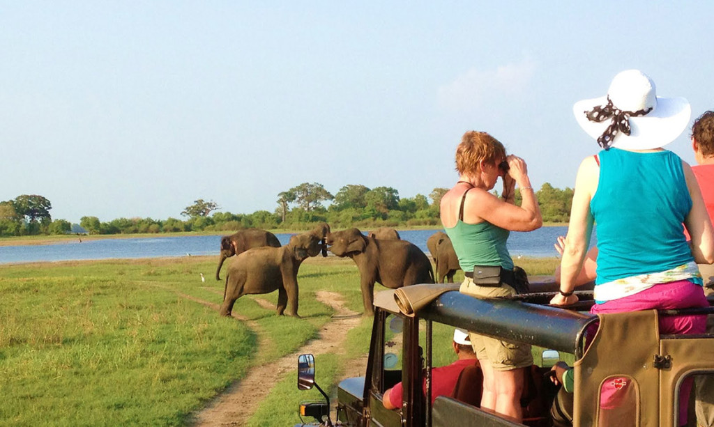 Wildlife Safari in Sri Lanka 1