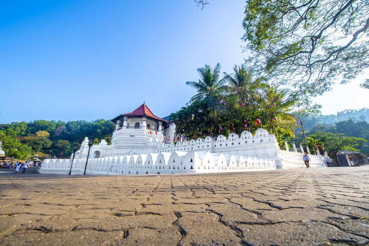 Day Tour Of Kandy In Sri Lanka Blue Lanka