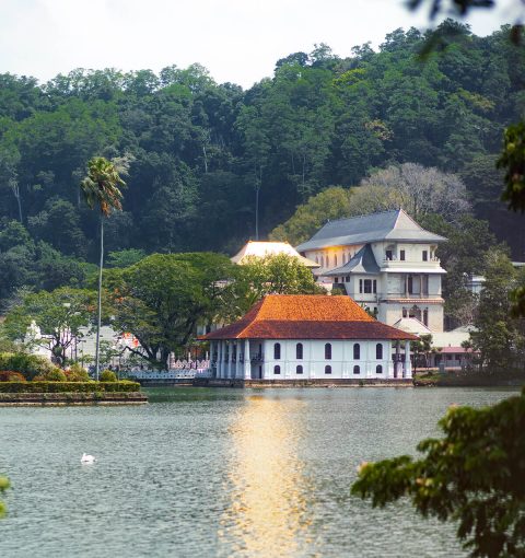 Day Tour of Kandy in Sri Lanka | Blue Lanka