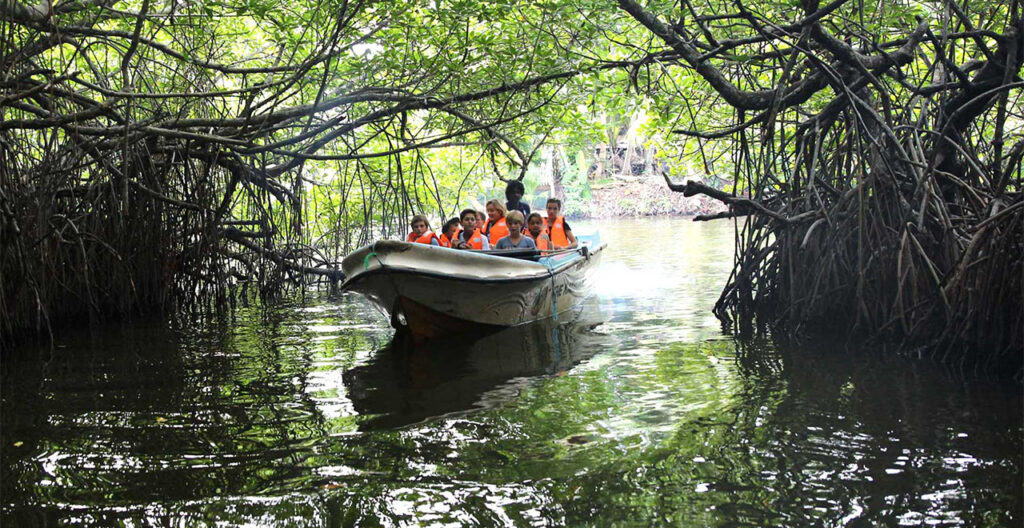 Madu Ganga