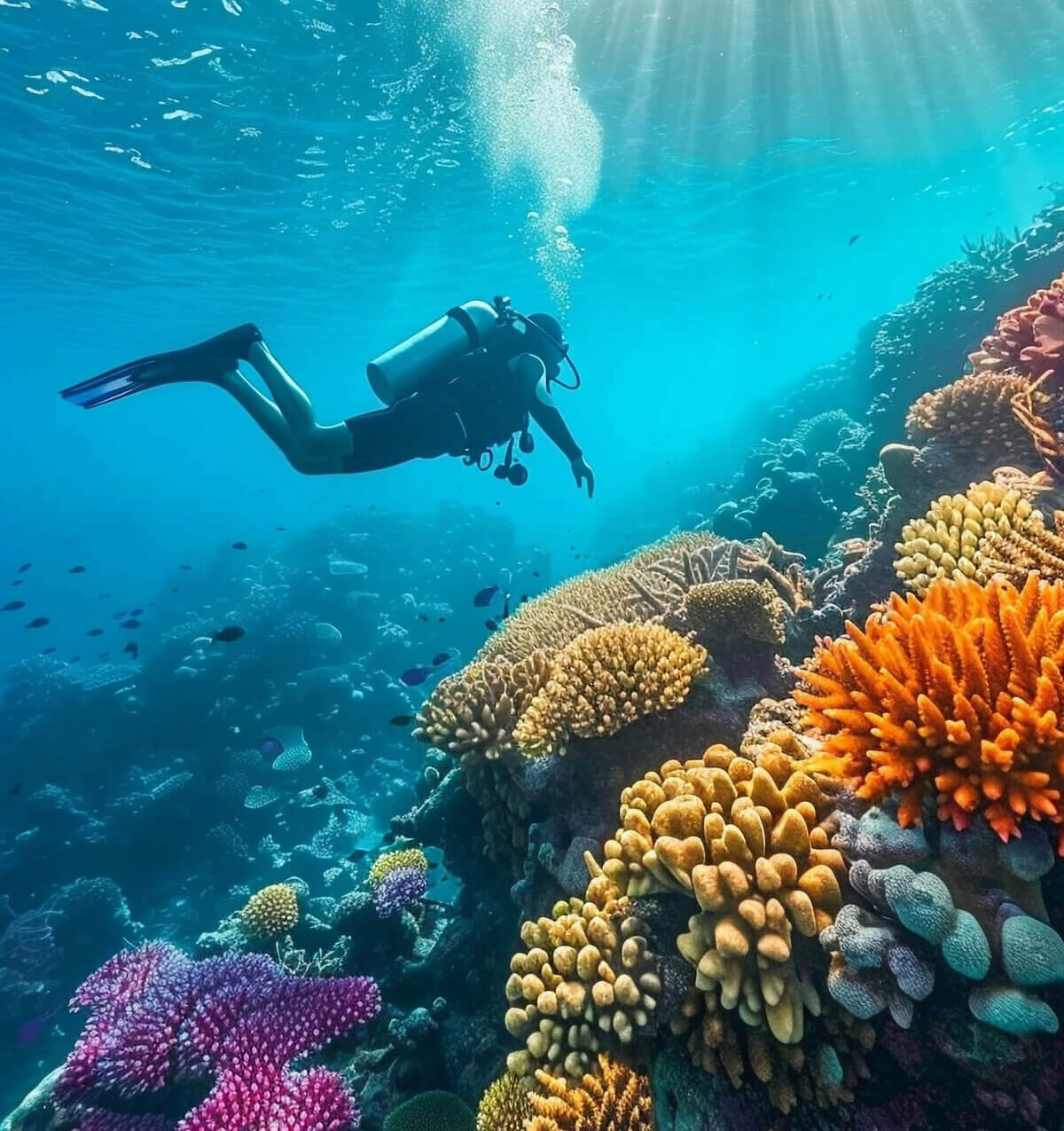 diver in maldives
